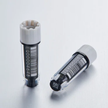 艾本德Eppendorf CryoStorage Vial，無菌, 無菌, 0.5 mL, 不含 DNase、RNase、人類 DNA 和內(nèi)毒素；外螺紋，預(yù)先加蓋灰色管蓋，帶 2D SafeCode 